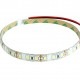 [10cm2] ̩(120LED/1M) 12V LEDơץ饤 ɿ ١