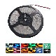 �ڥϥ�������ƥ����ɿ� LED�ơ��ץ饤�� 1���å� 12V ñ�� 600cm