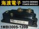1MBI300S-120B �ѥ�ȥ�󥸥����⥸�塼�� FUJI ���