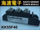 KK55F40 �ѥ�����ꥹ���⥸�塼�� SanRex ���