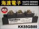KK55GB80 �ѥ�����ꥹ���⥸�塼�� SanRex ����