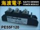 PE55F120 �ѥ�����ꥹ���⥸�塼�� SanRex ���