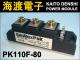 PK110F-80 �ѥ�����ꥹ���⥸�塼�� SanRex ���