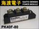PK40F-80 �ѥ�����ꥹ���⥸�塼�� SanRex ���