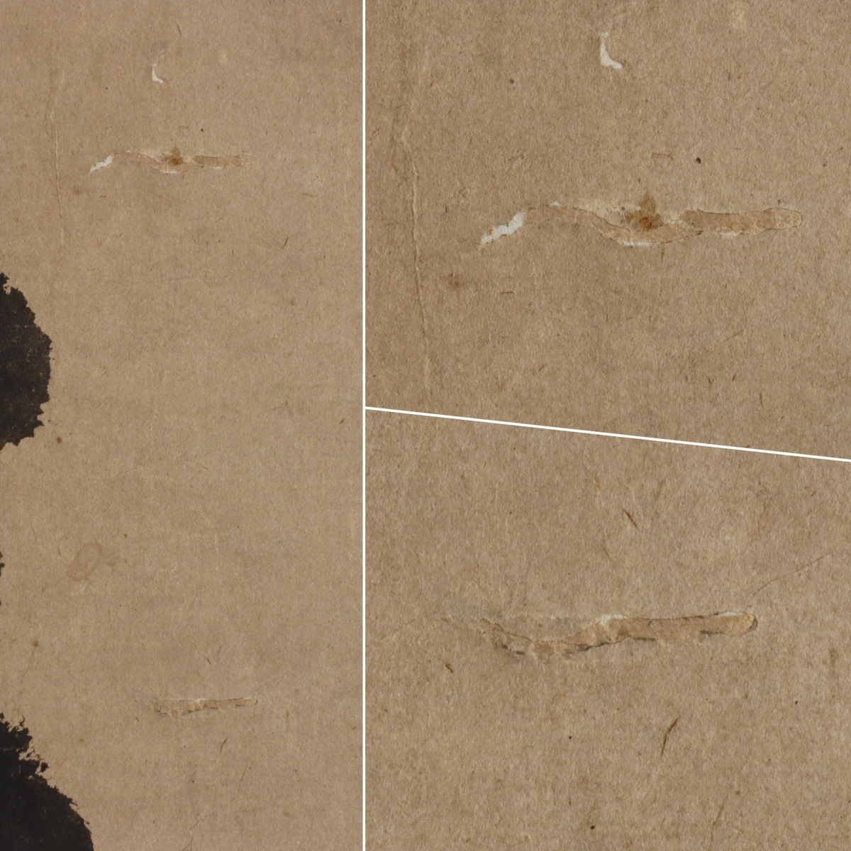 ������185�� �̽���璠 ��