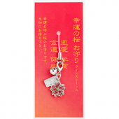 �����κ��饤�󥹥ȡ�����