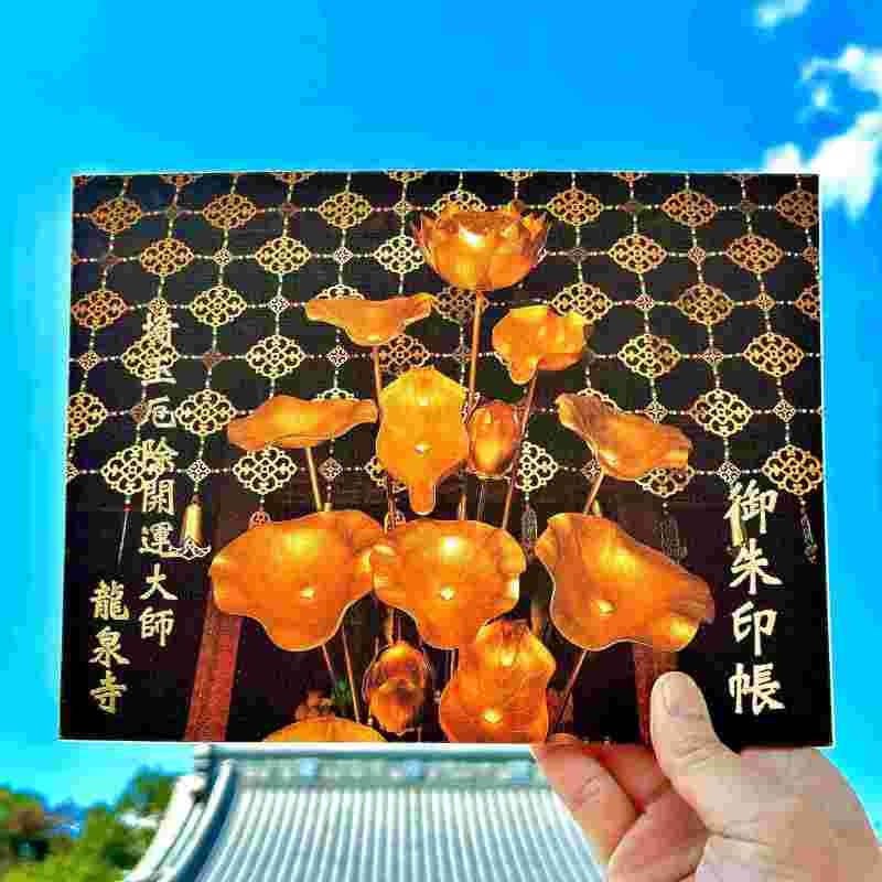 ����Ģ ����