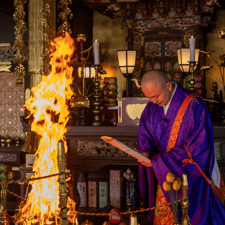 2026 ��� �淿����ξ���껥�˥��å�