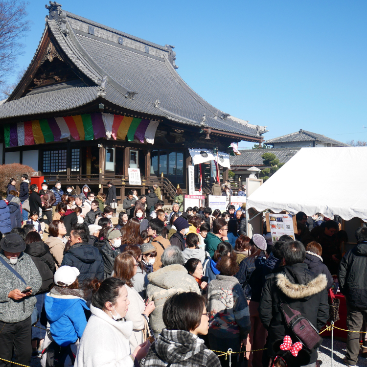 2026 ��ء����绥���å�