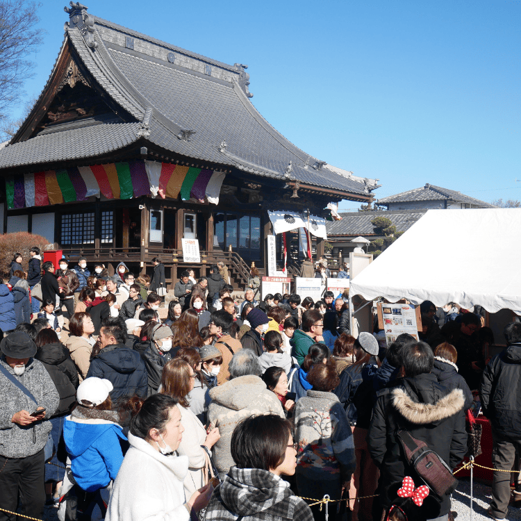 2026 �糫�� ���໥