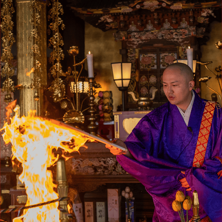 2026 ���̽��������໥