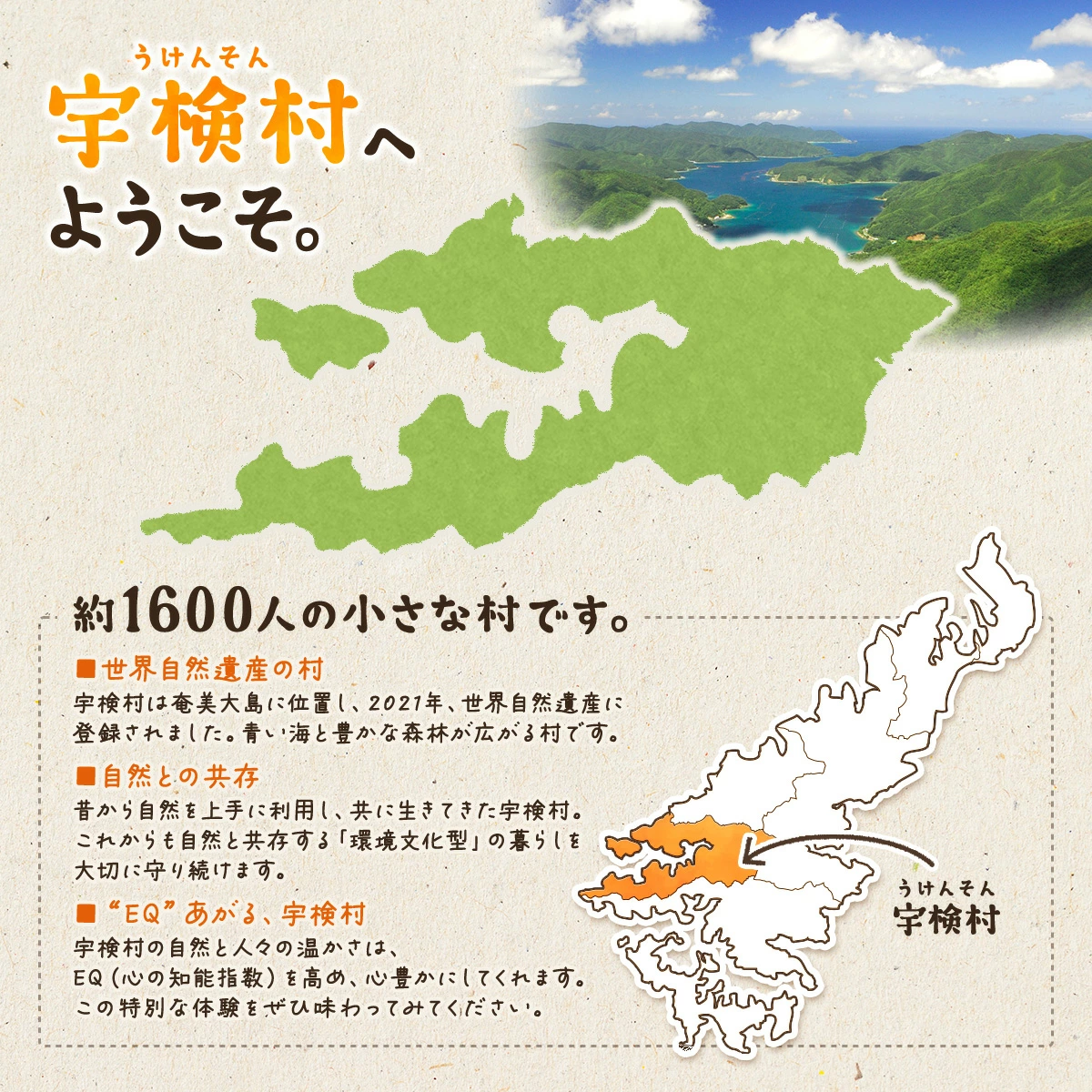 【贈答用】 完熟 パッションフルーツ バラ詰め 1kg 【2025年6月中旬～順次発送】