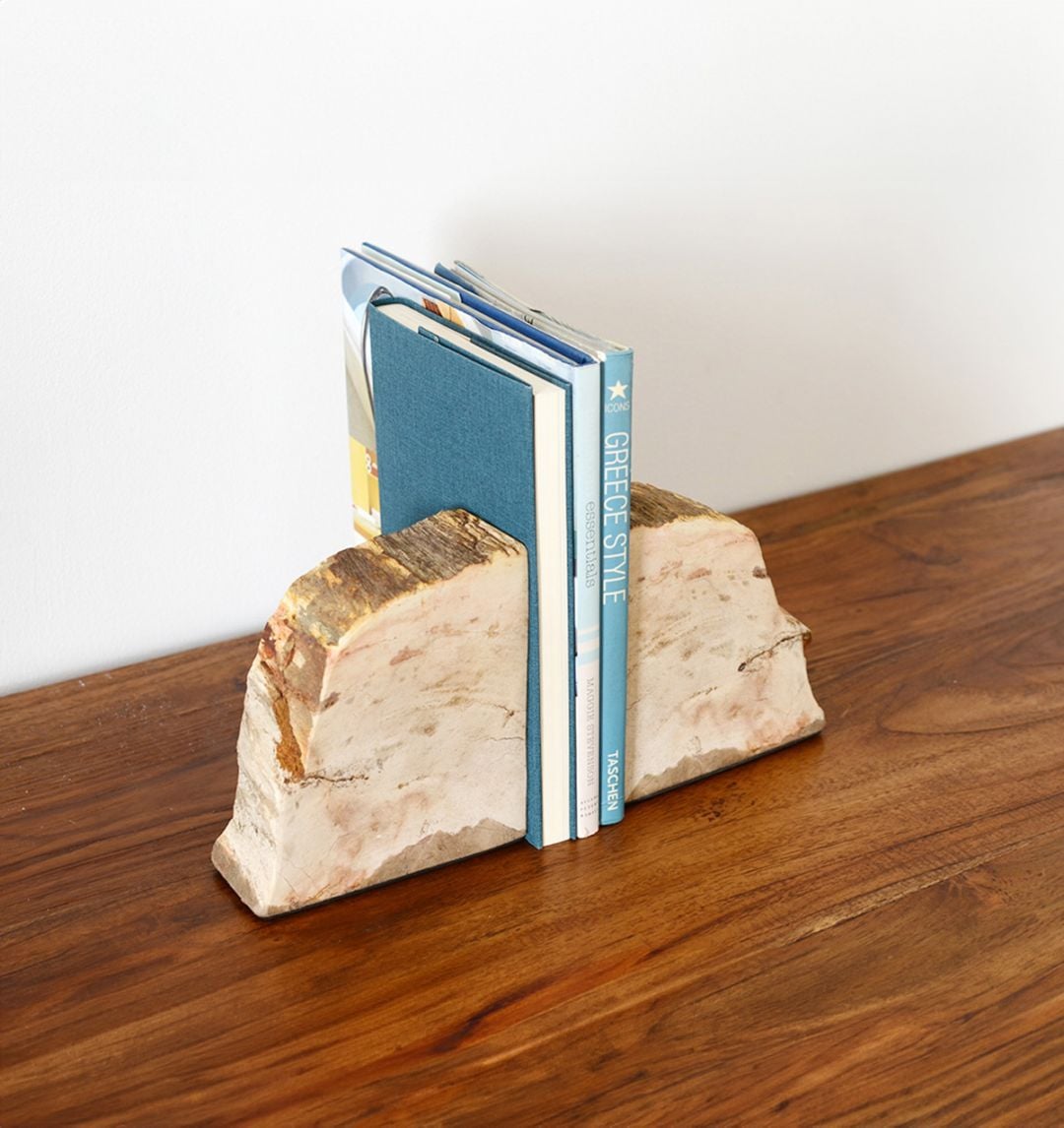 木化石 ブックスタンド