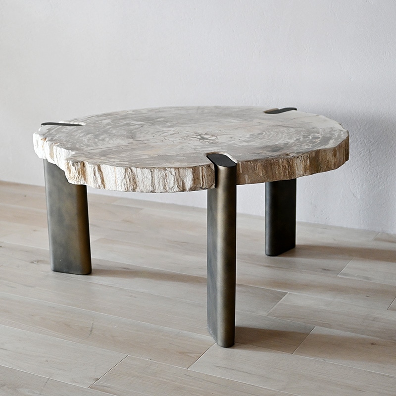 木化石アイアンローテーブル