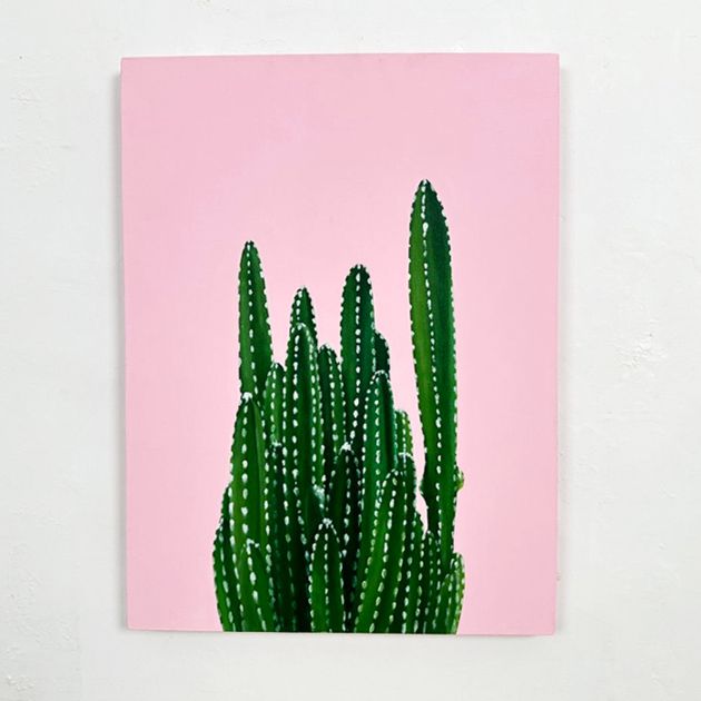 リビングアート Wild Cactus / ワイルド カクタス