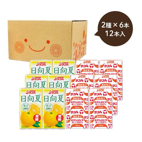 おすすめセット (12本入)（にんじんりんご酢・紅酢） | 宮崎県農協果汁