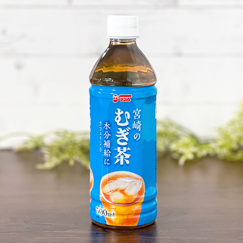 ⑤無農薬露地栽培☘️ネーブルオレンジ☘️阿蘇山天然水使用☘️数箱限定早い者勝ち‼️ 無農薬・オレンジ（ネーブル）1kg ｜ 果物/オレンジ・その他みかん