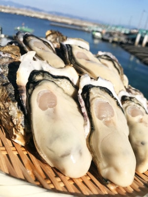 ���� �ä����� ������դ� 100������ ��Ǯ��