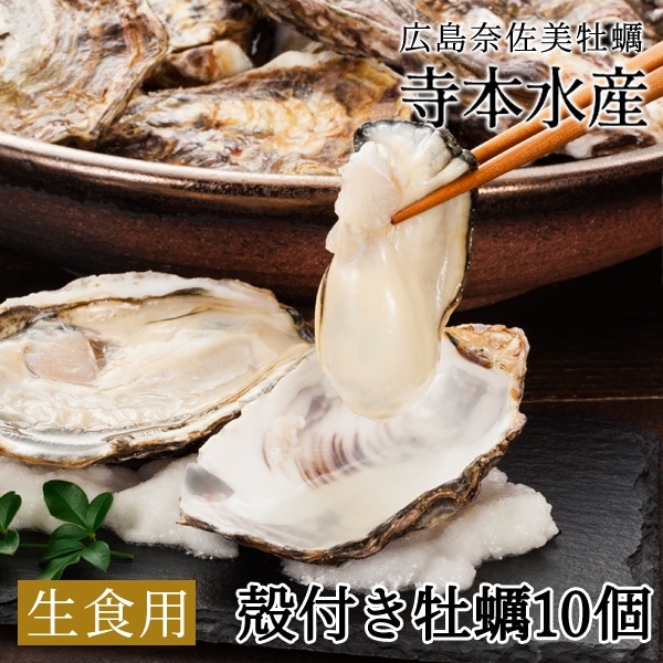 [ä]粴ڤϷ! դ10[]