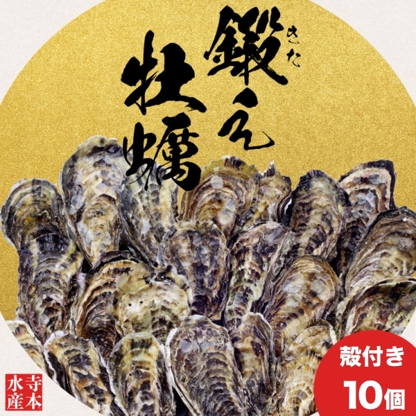 [ä]粴ڤϷ! դ10[]