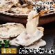 [ä]粴Ϸޤ̣! դ20[]