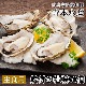 [ä]粴Ϸޤ̣! դ50[]