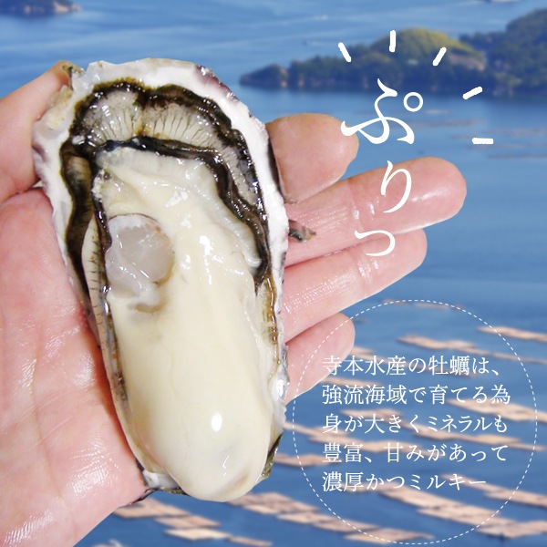 [�ä�����]���粴��Ϸ�ޤ�̣!�����भ��500gȯˢȢ[������]