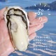 [�ä�����]���粴��Ϸ�ޤ�̣!�����भ��500gȯˢȢ[������]