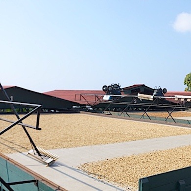 ҡ٥å / ͣåȤޤ [ҡ֤5 - 11ޤ] ̵/34%OFF/ƱԲġ