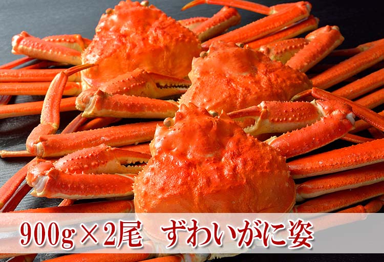 カニ 紅ズワイガニ 富山湾蟹 漁港直送 浜湯で即冷凍 20杯 カニ一