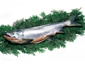 �ڿ��̸���ۿ����� 1��ʪ 3.2�ԥ�����