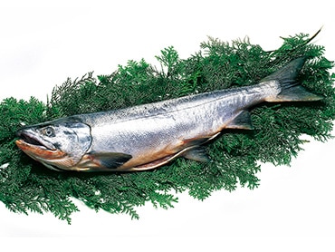 �ڿ��̸���ۿ����� 1��ʪ 2.7�ԥ�����