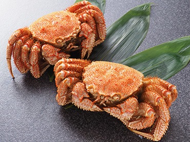 毛がに姿 500g×3尾