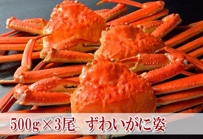 ���ऺ�襤���˻� 500g��3��