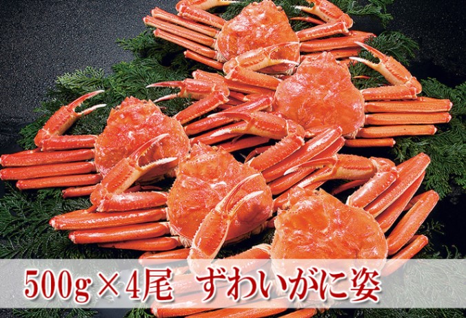 ���ऺ�襤���˻� 500g��4��