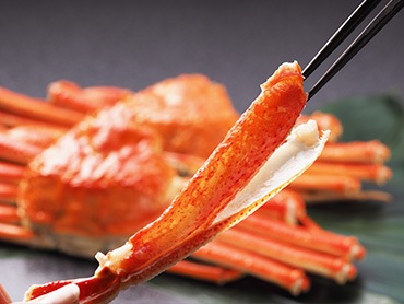 �������å� ��(�ޤ�)��