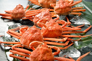 �����ۥᥬ��(��������)��5����