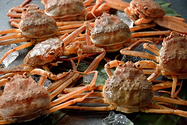 �����ۥᥬ��(��������)��5����