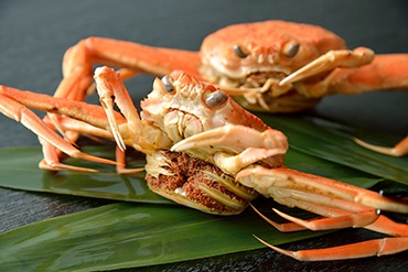 �����ۥᥬ��(��������)��5����