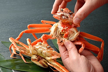 �����ۥᥬ��(��������)��5����