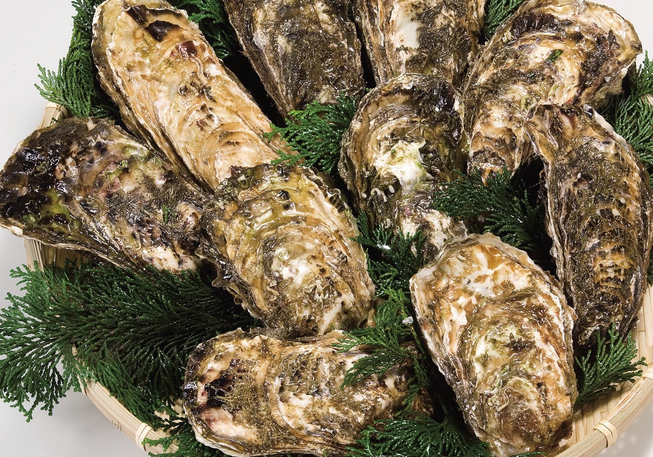 ������դ���(��Ǯ��) 1kg��1��