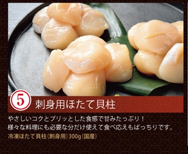 �ץ�ߥ���5��