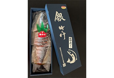 ��������ڡ�Ⱦ�ȱ��ҡ�Ⱦ�������ҡˡ�