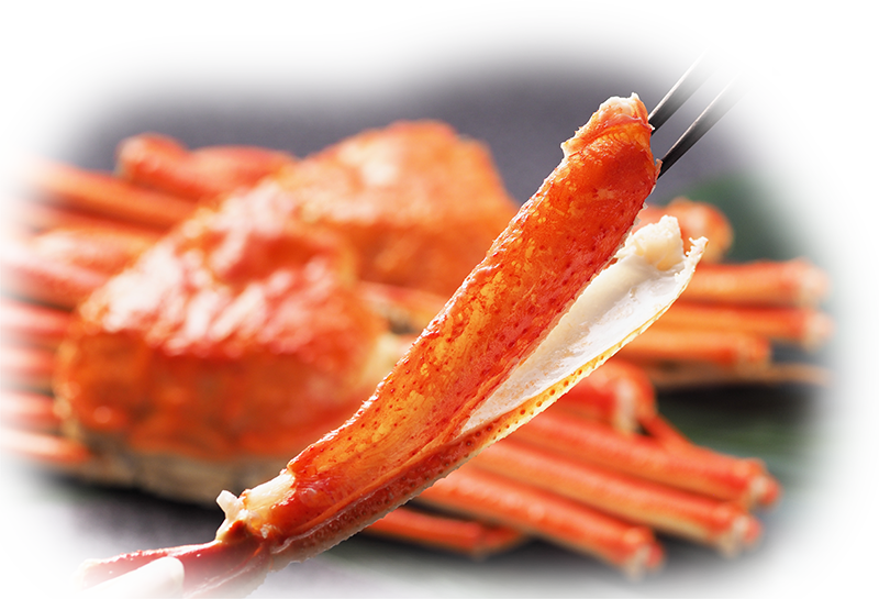 ずわいがにハーフポーション 600g 全国全品送料込 角上魚類 海鮮ギフト ずわいがにハーフポーション 600g 全国全品送料込 角上魚類 海鮮ギフト