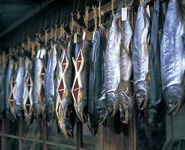 ¼��ù���������Ⱦ�Ȼ��ڤ�