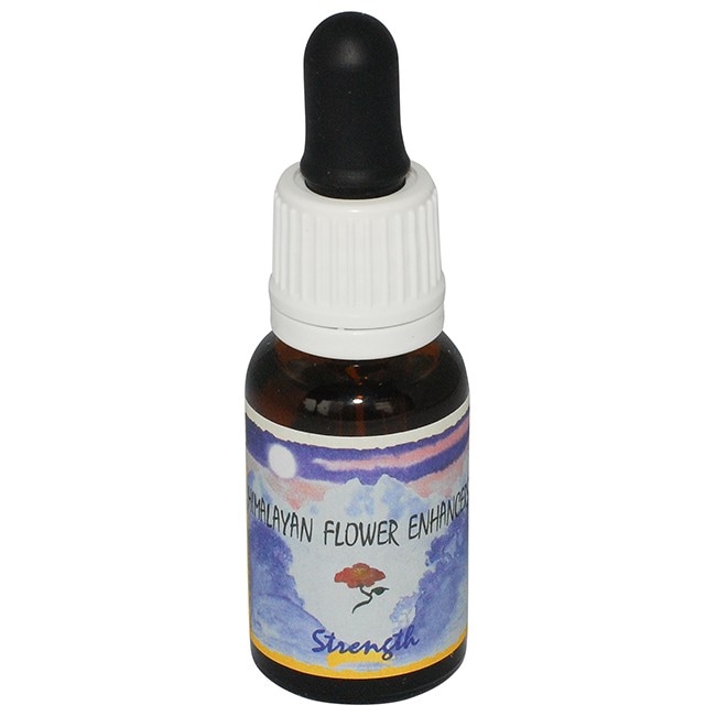 ストレングス[Strength](チャクラ:太陽神経叢)