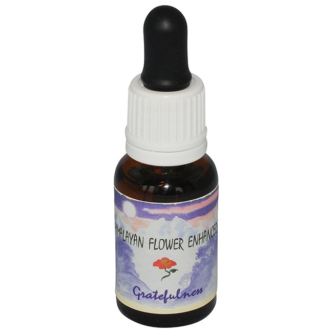 グレートフルネス[Gratefulness]