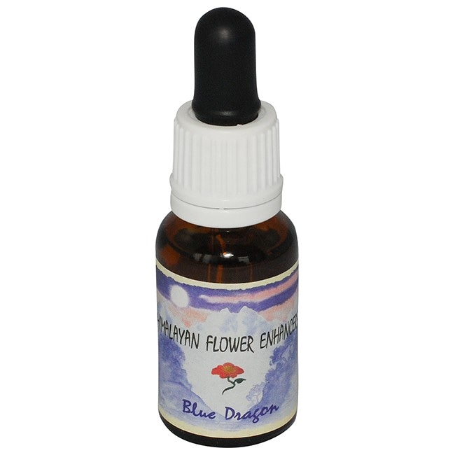 ブルードラゴン[Blue Dragon]