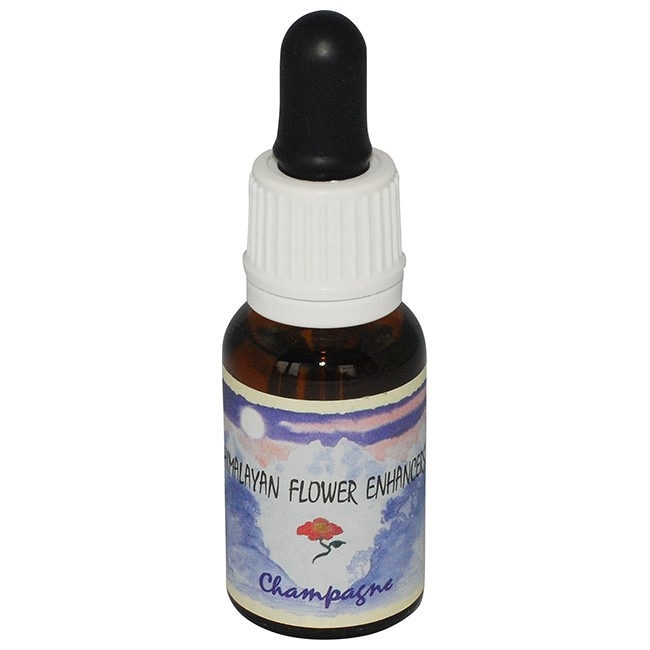 シャンペイン[Champagne]