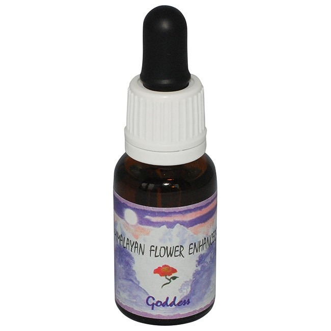 ゴッデス[Goddess]